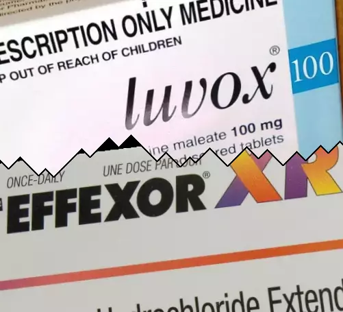 Luvox contre Effexor